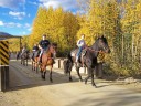 boys on horses